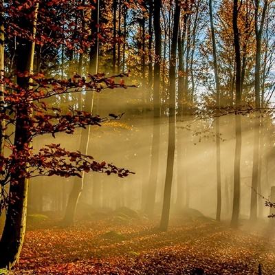 pg麻将胡了下载手机app下载