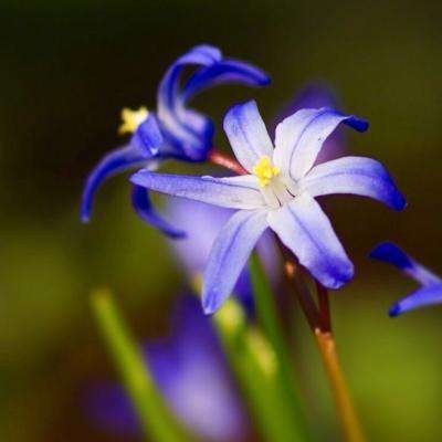 ob体育最新官网